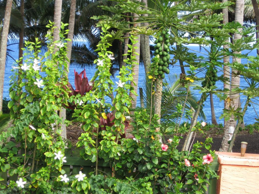 Oceanfront Cottage Near The Kalapana Lava Flows Kehena Oda fotoğraf