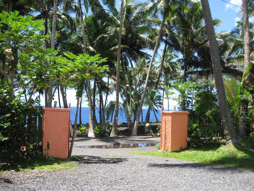 Oceanfront Cottage Near The Kalapana Lava Flows Kehena Oda fotoğraf