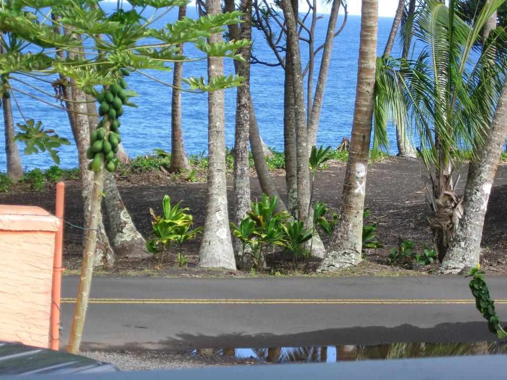 Oceanfront Cottage Near The Kalapana Lava Flows Kehena Oda fotoğraf