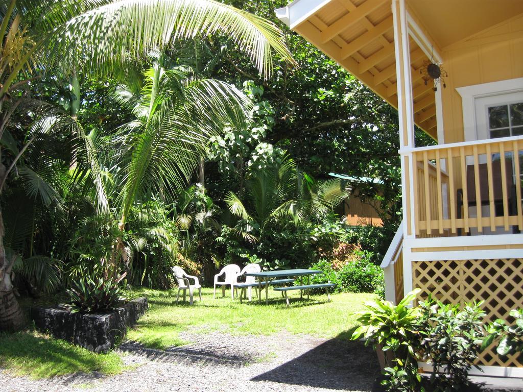 Oceanfront Cottage Near The Kalapana Lava Flows Kehena Oda fotoğraf