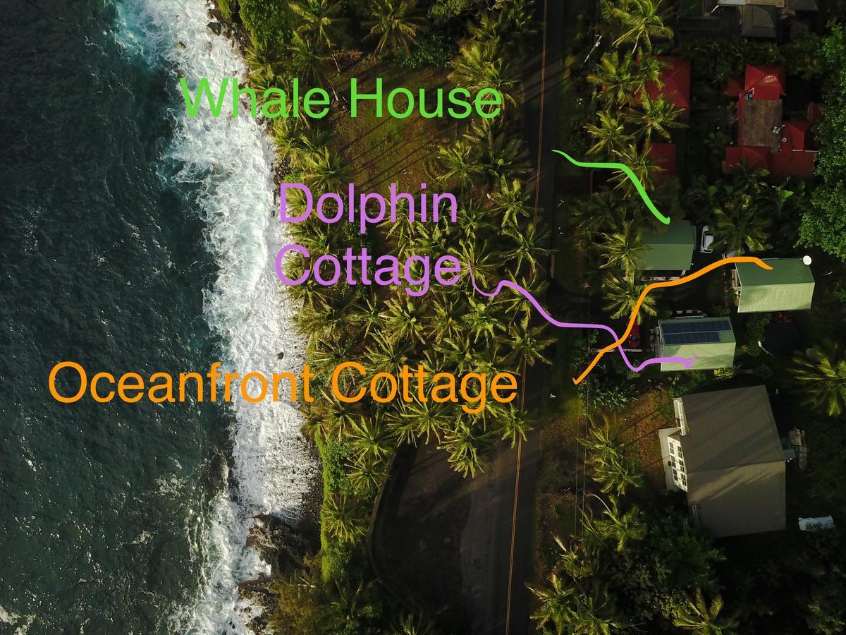 Oceanfront Cottage Near The Kalapana Lava Flows Kehena Dış mekan fotoğraf